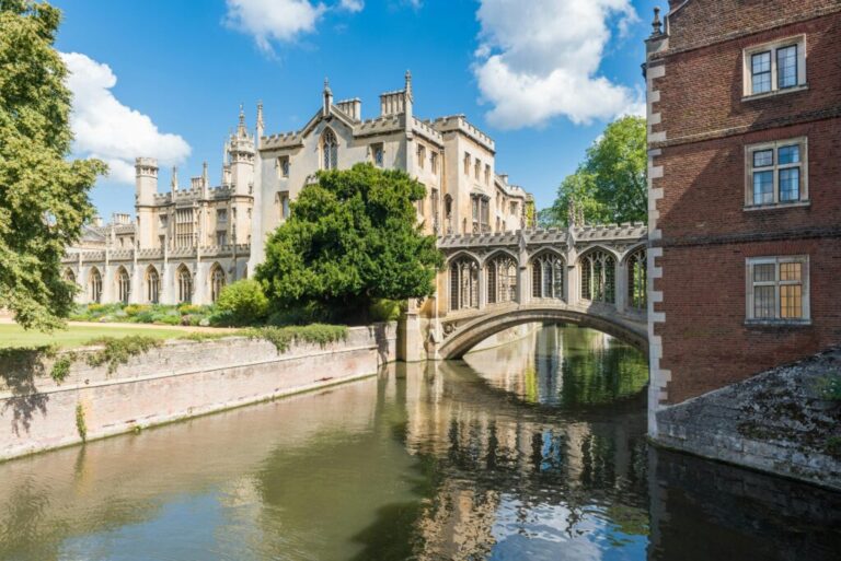 Super-Curriculars vs Extra-Curriculars: What They Are and Why They Matter for UK University Admissions 