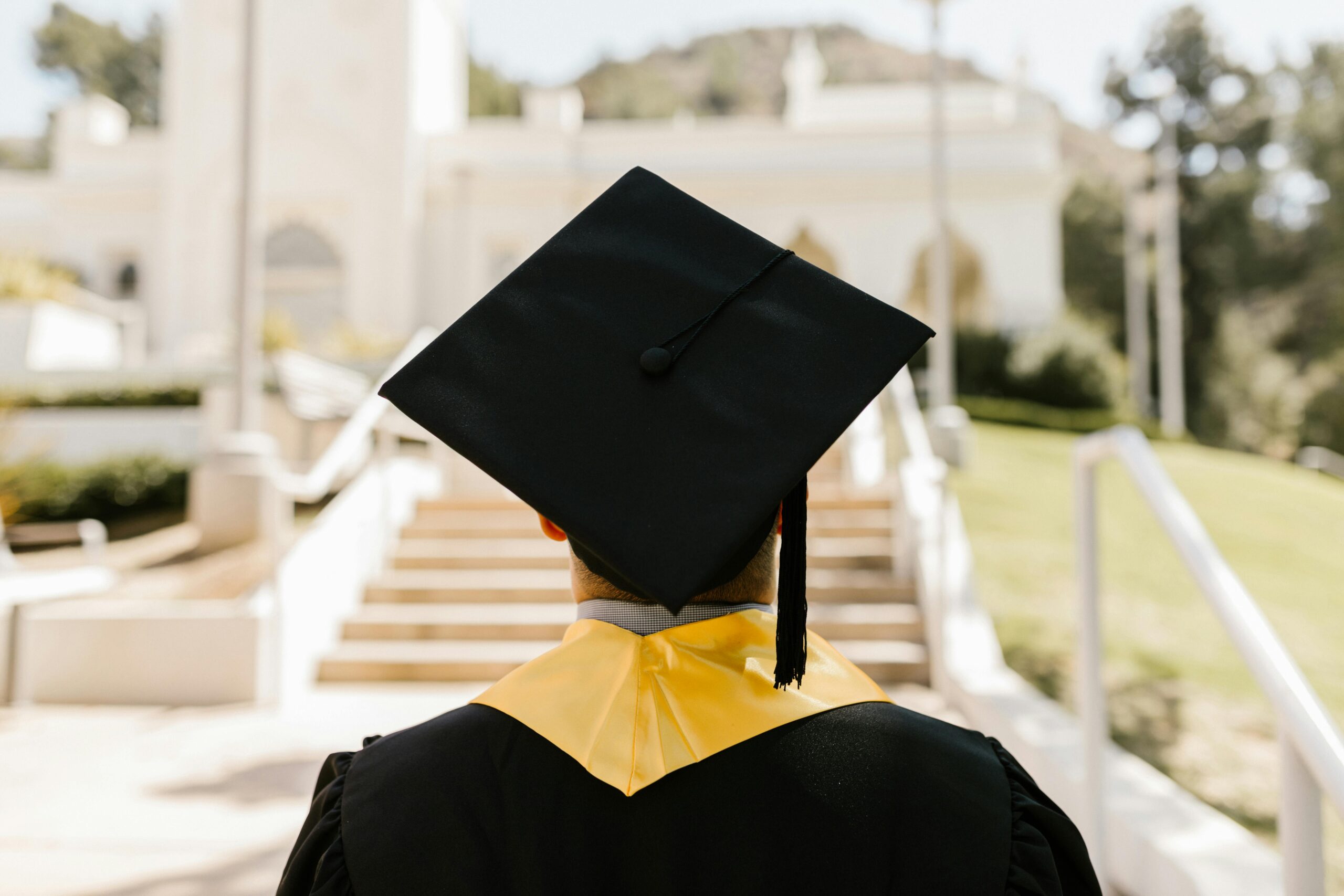 Experienced Mentors